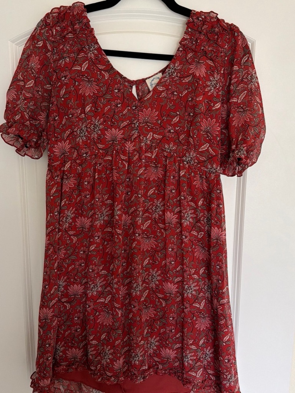 Blue Rain Red Floral Mini Dress with Puff Sleeves